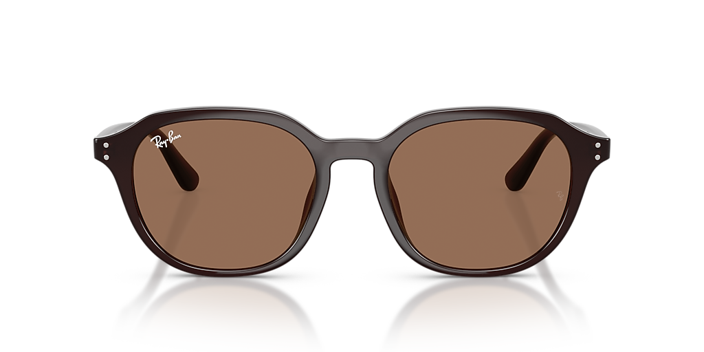 Ray-Ban RB4459D XL (54 - 19) with Brown lenses and Brown frame