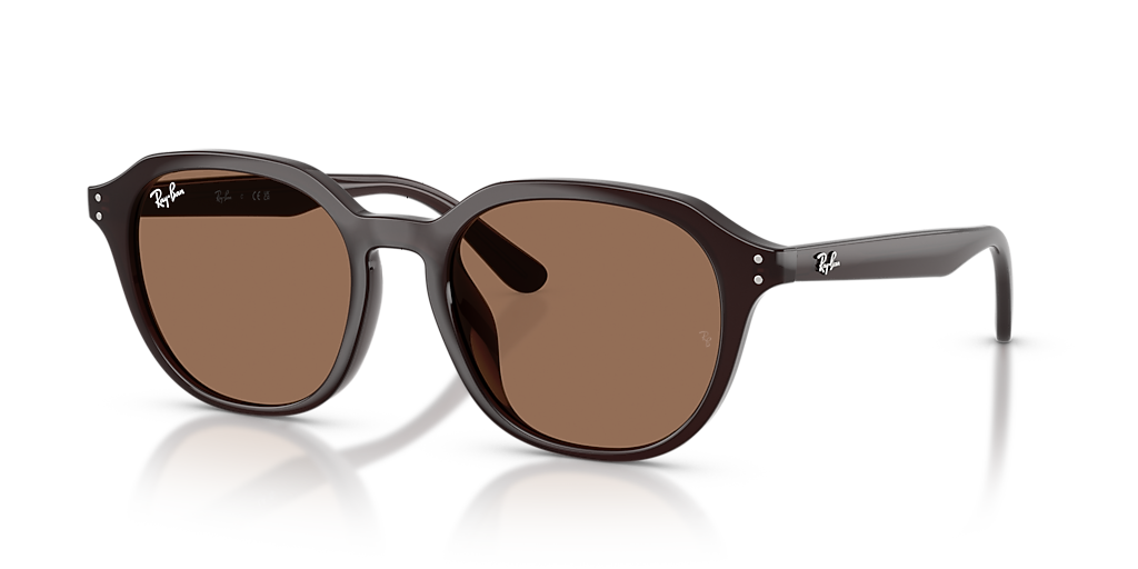 Ray-Ban RB4459D XL (54 - 19) with Brown lenses and Brown frame