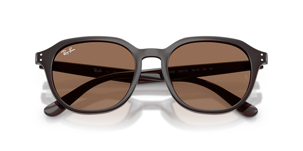 Ray Banサングラスrb4459d Ray-Ban RB4459D XL (54 - 19) with Brown lenses and Brown frame