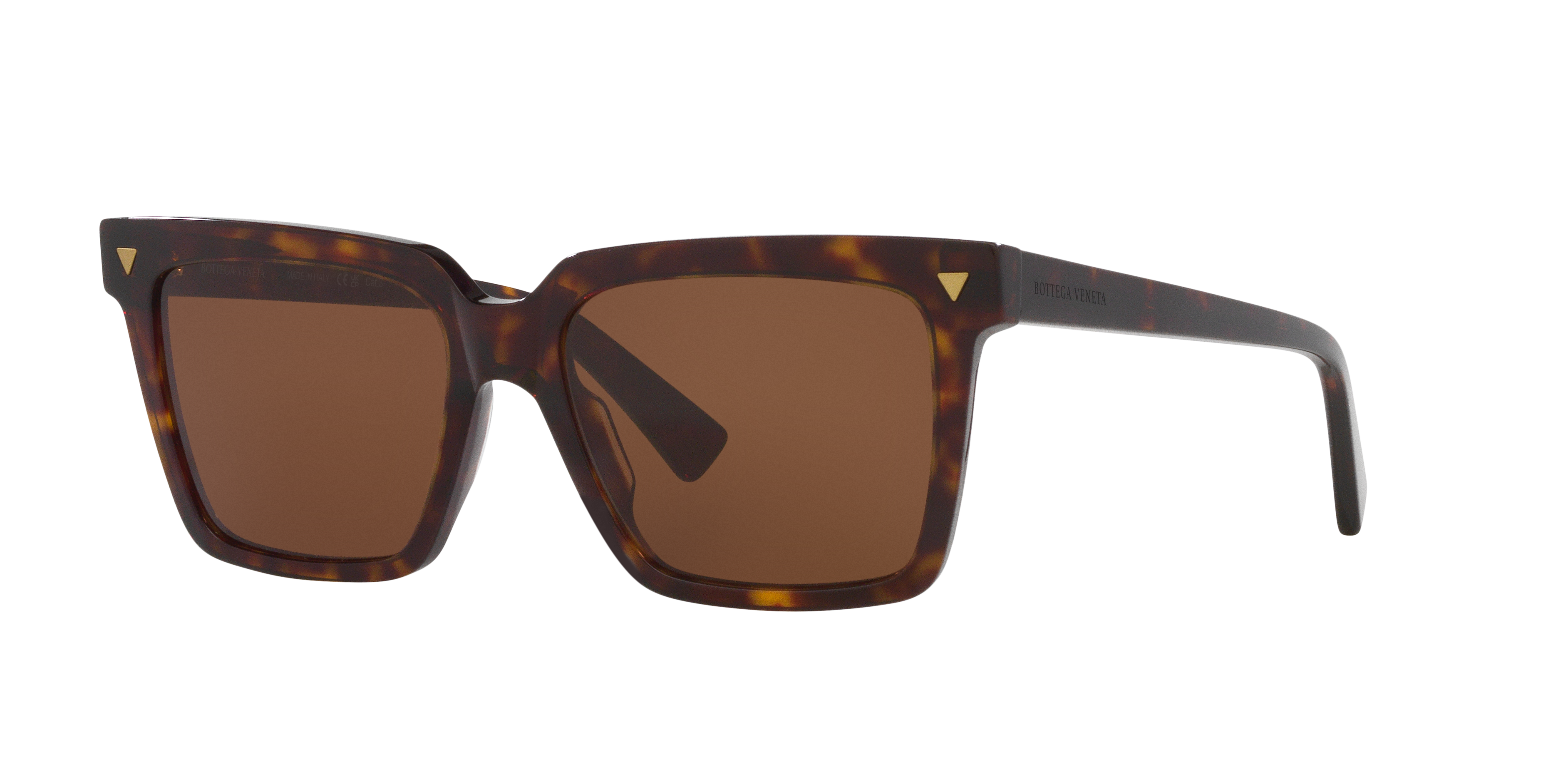 Bottega Veneta BV1254S S (55 - 17) with Brown lenses and