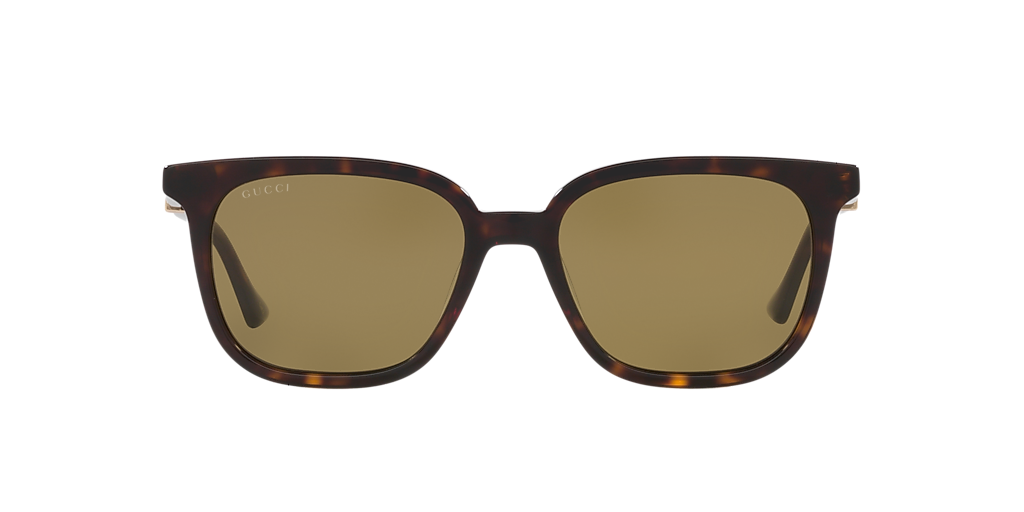 Gucci GG1493S M (54 - 18) with Green lenses and Tortoise frame