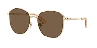 Burberry BE3153D XXL (57 - 19) with Brown lenses and Gold