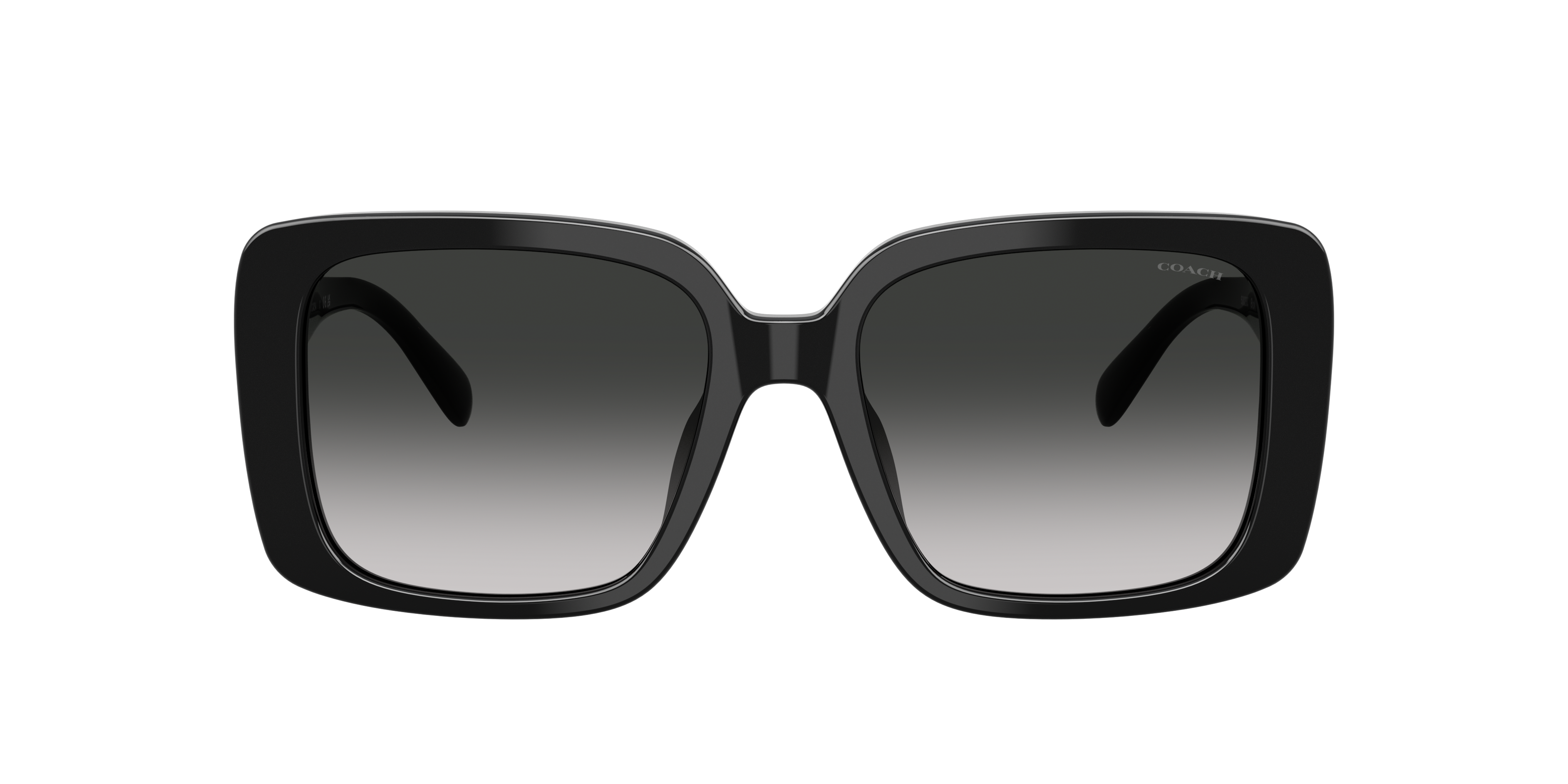 Coach HC8424F CAD55 L (56 - 18) with Grey lenses and Black frame