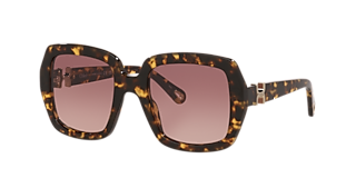 Chloé CH0008S XXS (58 - 17) with Brown lenses and Black