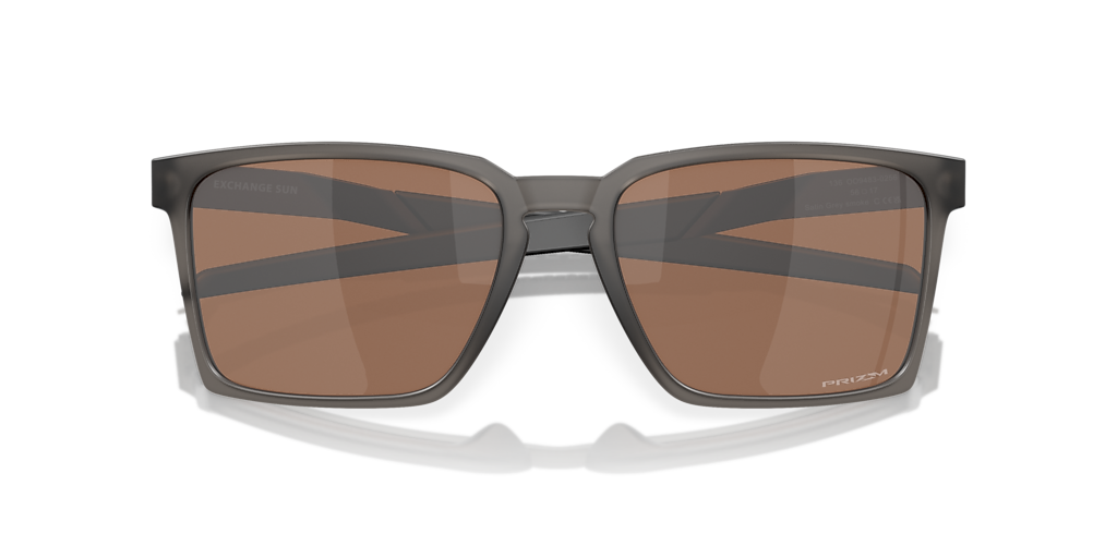 Oakley Exchange Sun L (56 - 17) with Brown lenses and Grey frame