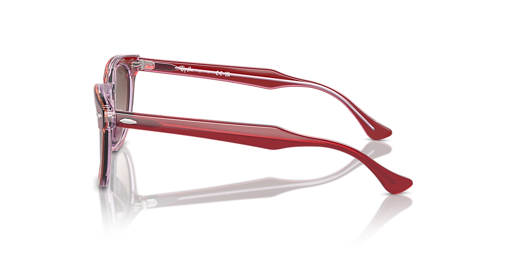 ●RECLOW● RC BANBU SUNGLASS RED 2021-07-