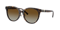 TF4209D.8015/T5/54口19/140 Tiffany & Co. TF4209D L (54 - 19) with Brown lenses and Tortoise