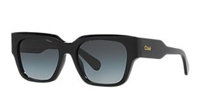 Chloé CH0046S XXS (58 - 20) with Brown lenses and Tortoise