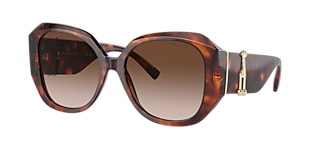 Tiffany & Co. TF4242D XXL (54 - 19) with Brown lenses and