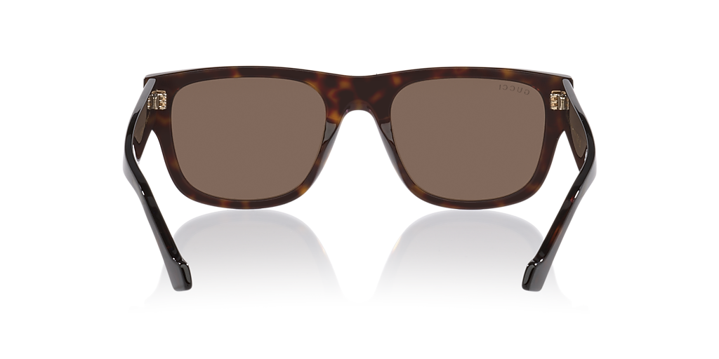 Gucci GG1427S S (53 - 21) with Brown lenses and Tortoise frame