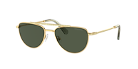 Swarovski SK7007 M (53 - 17) with Green lenses and Gold