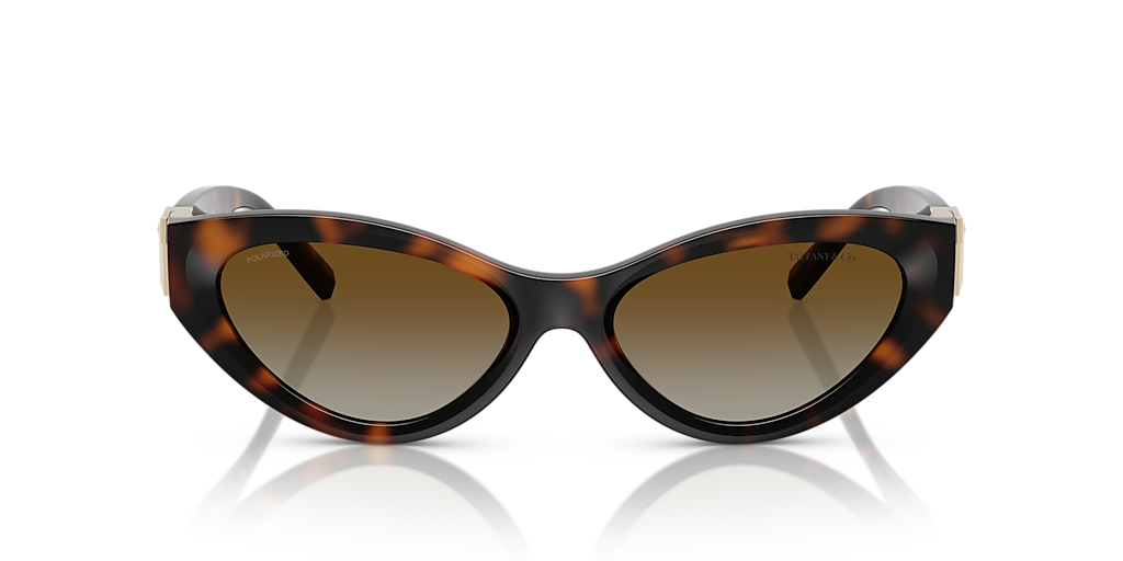 【Tiffany & Co】 ☆サングラス TF4225U☆ Tiffany & Co. TF4225U XL (54 - 17) with Brown lenses and