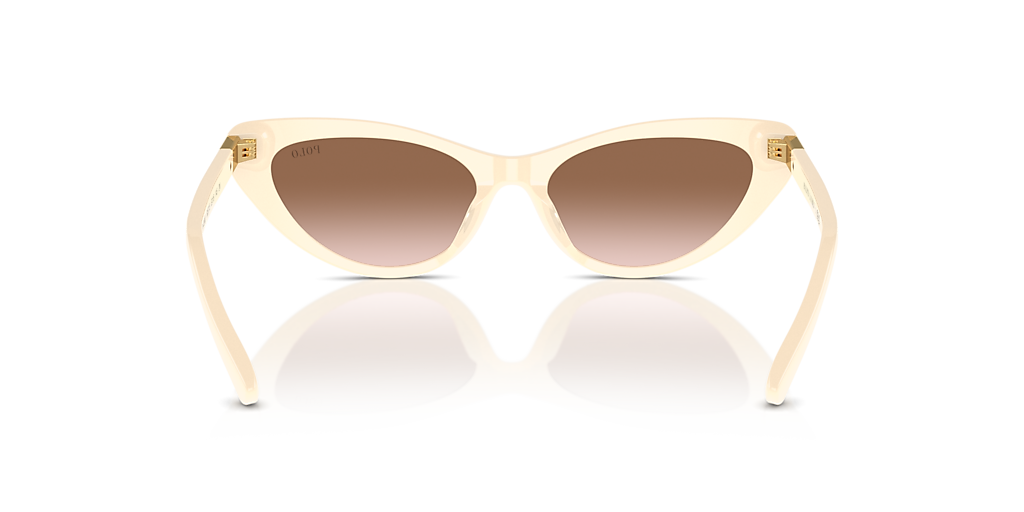 POLO RALPH LAUREN キャットアイサンクラス PH4199U 500187 PH4199U Sunglasses - Polo by Ralph Lauren Authorized