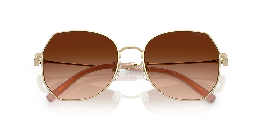 Coach HC7175 CAD79 XL (56 - 18) with Brown lenses and Gold frame