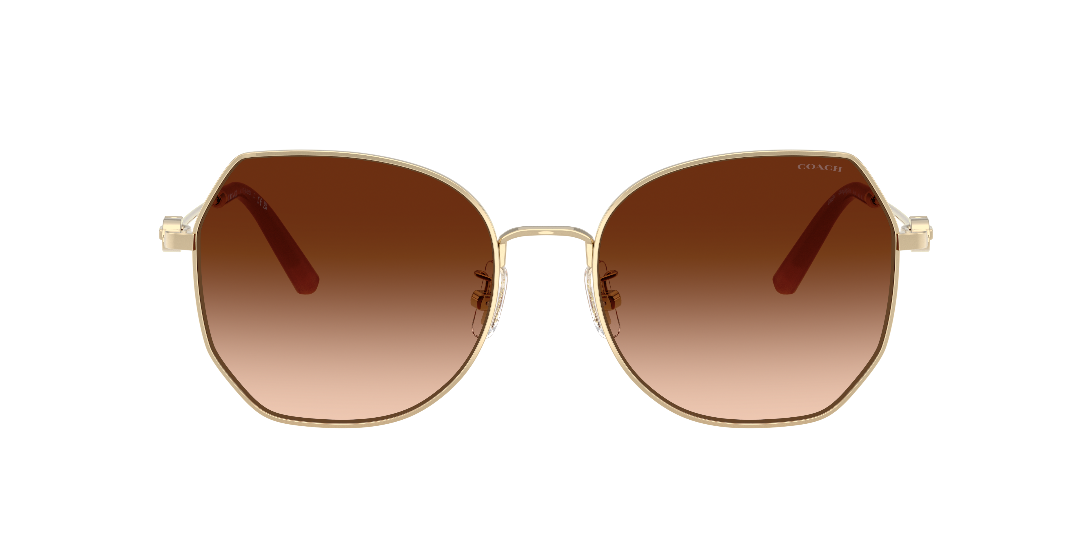 サングラス Chloe PRADA COACH Coach HC8443D CBY84 M (54 - 17) with Brown lenses and Brown frame