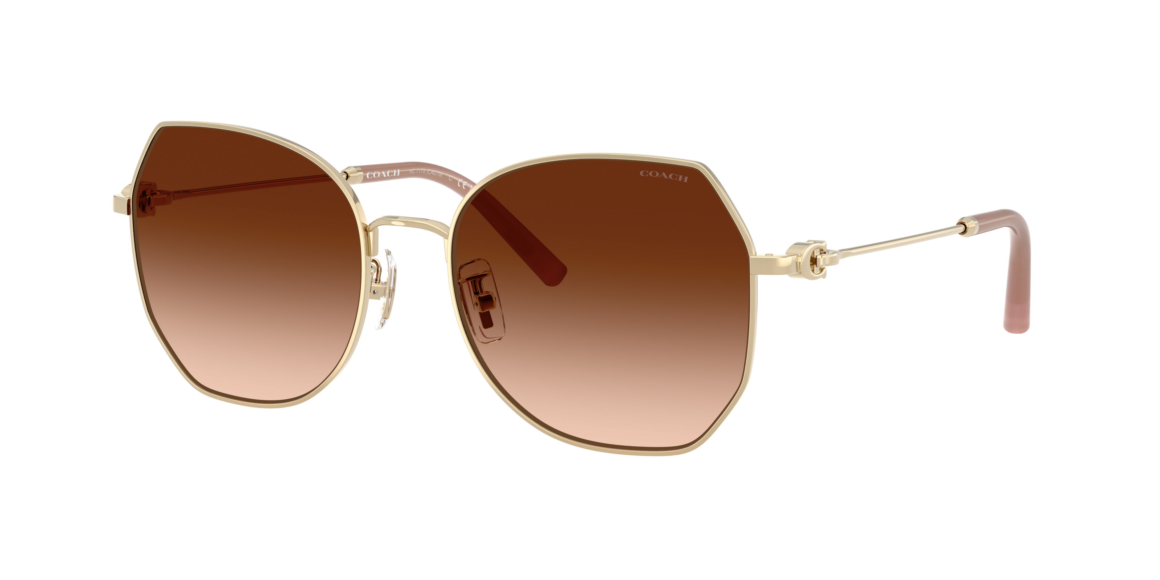 Coach HC7175 CAD79 XL (56 - 18) with Brown lenses and Gold frame