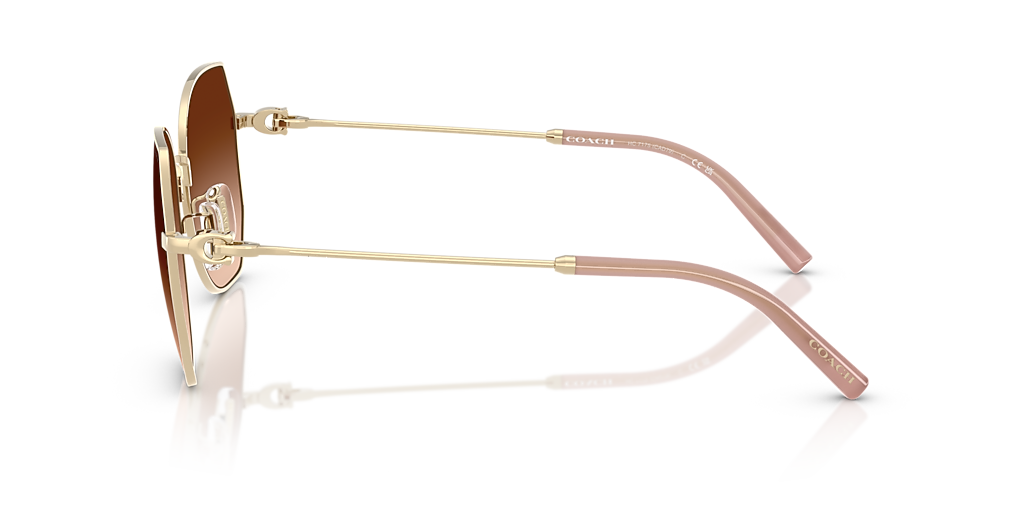 Coach CAD79 XL (56 - 18) with Brown lenses and Gold frame