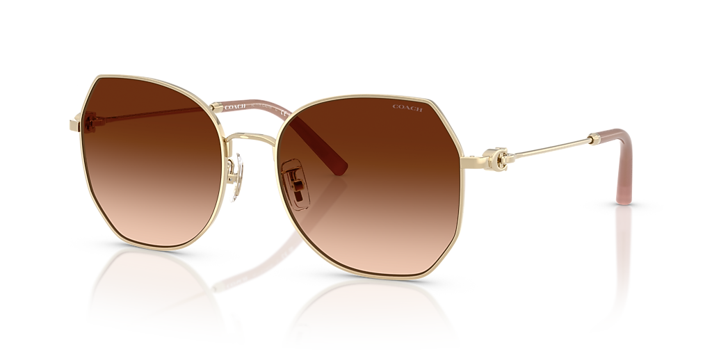 Coach CAD79 XL (56 - 18) with Brown lenses and Gold frame