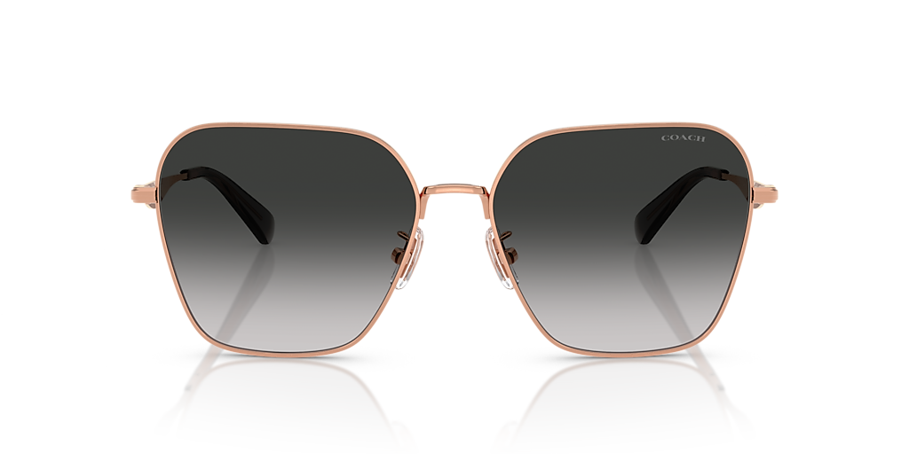 Coach HC7168 CW189 XL (58 - 16) with Grey lenses and Gold