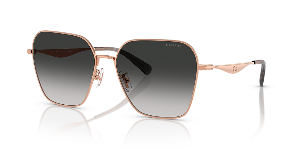 Coach HC7168 CW189 XL (58 - 16) with Grey lenses and Gold frame