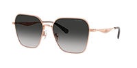 Coach HC7168 CW189 XL (58 - 16) with Grey lenses and Gold