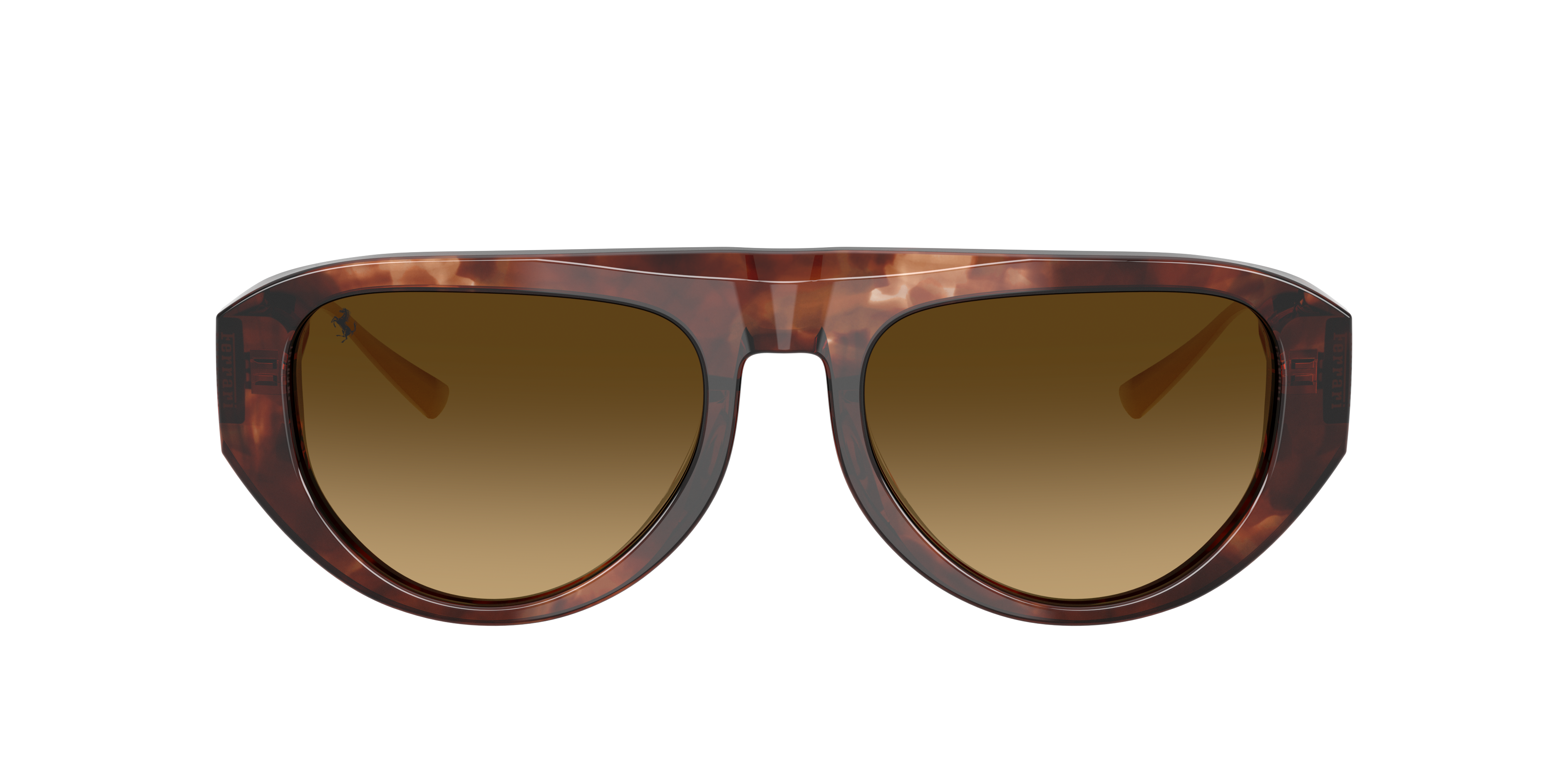 Ferrari Unisex Sunglass Fh2012u In Gradient Brown Polar