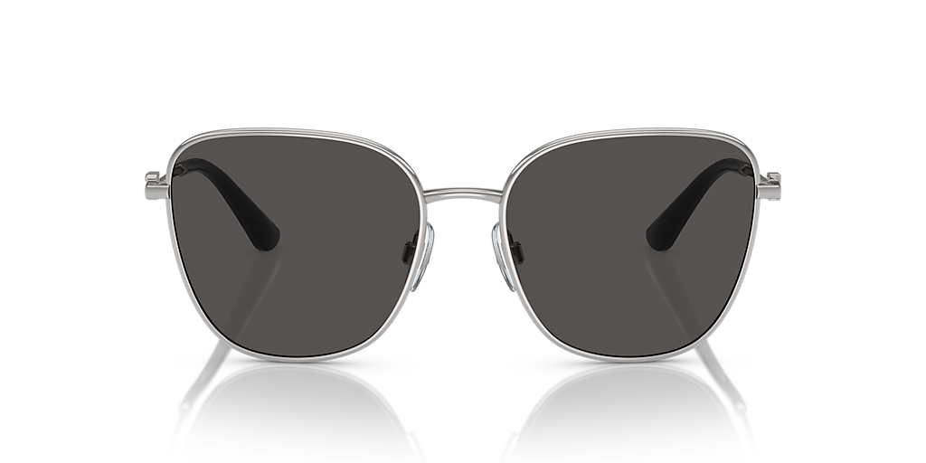Dolce&Gabbana DG2293 L (56 - 17) with Grey lenses and Silver
