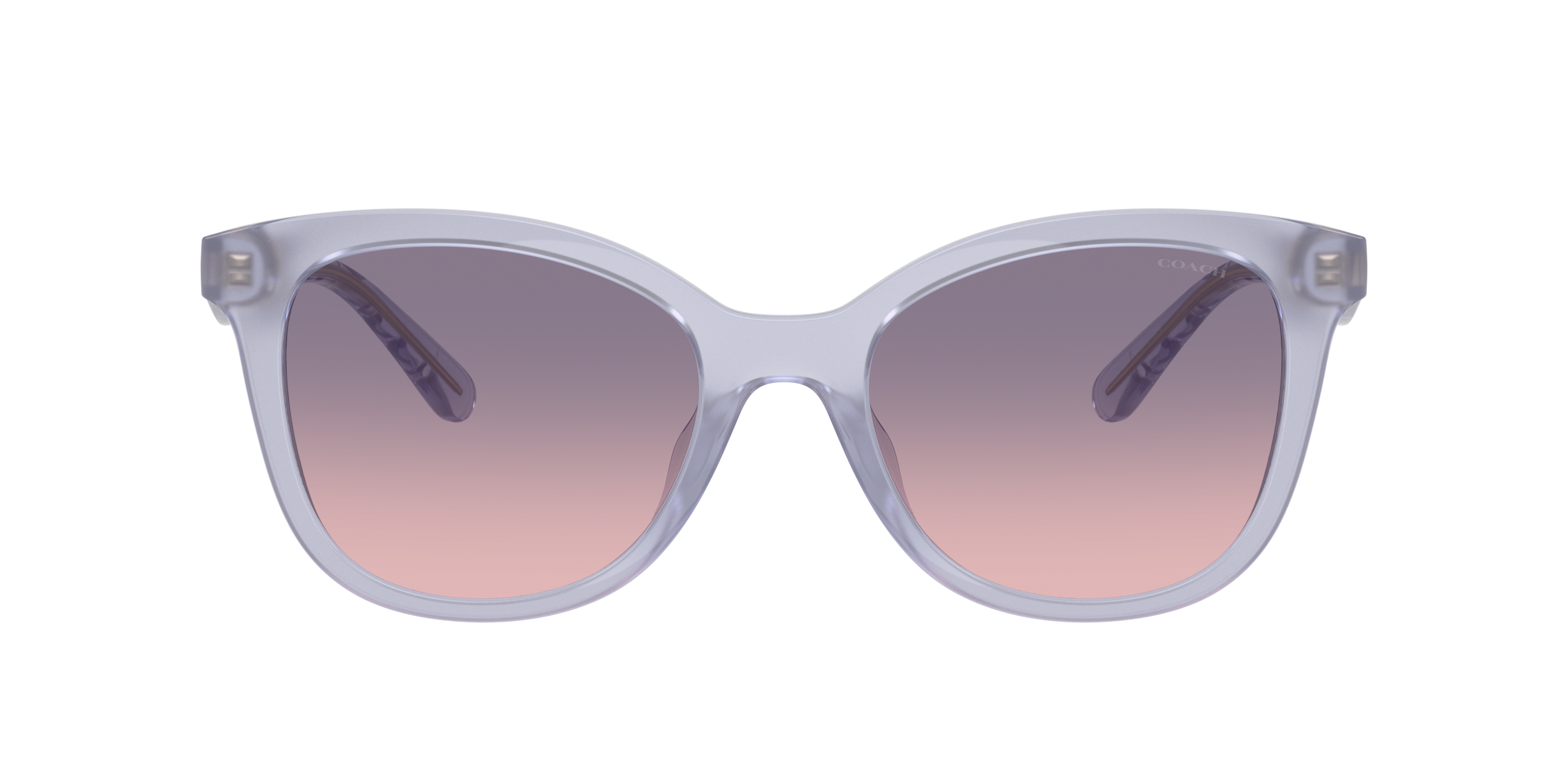 Coach CAD25 XL (55 - 20) with Violet lenses and Violet frame