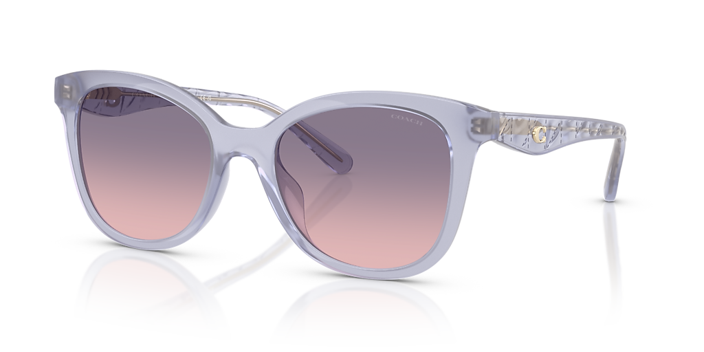 Coach HC8419U CAD25 XL (55 - 20) with Violet lenses and Violet