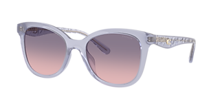 【送料,関税込】 COACH サングラス CL918 HC8381U Coach HC8381U CL918 Sunglasses | LensCrafters