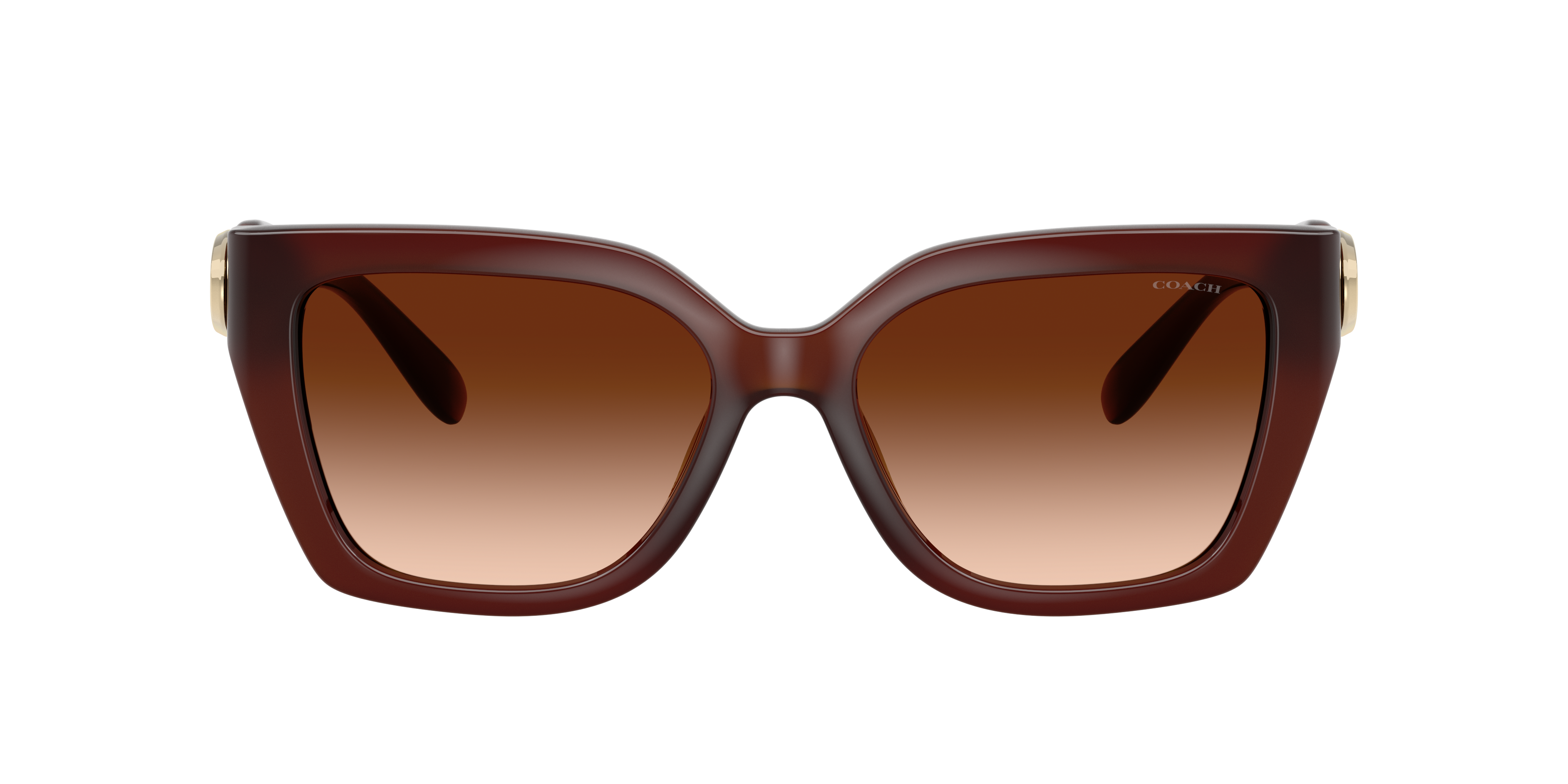 Coach Woman Sunglasses Hc8408u Cw195 In Brown Gradient