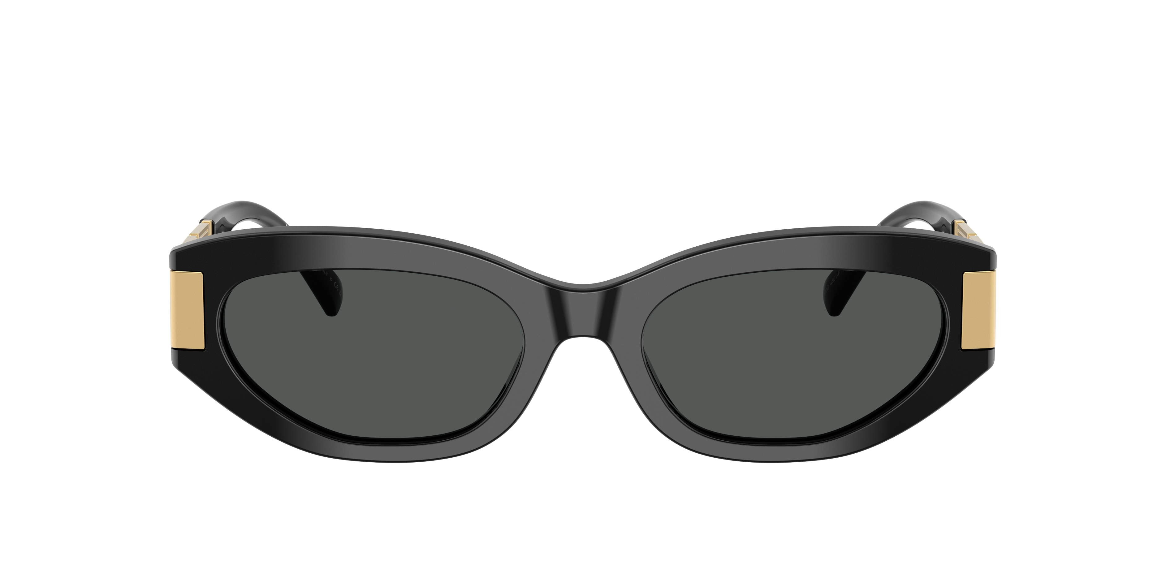 Versace VE4501F XL (54 - 19) with Grey lenses and Black frame
