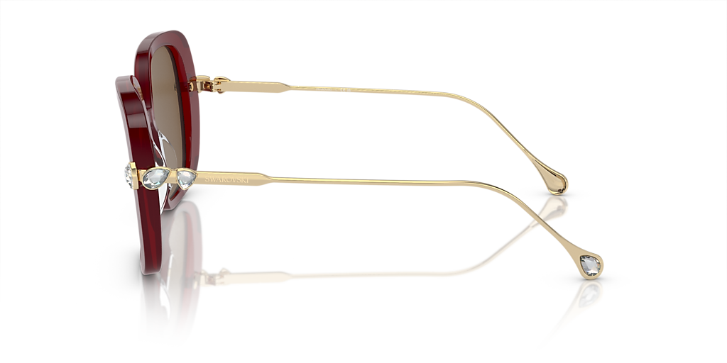 SWAROVSKI SK6011 Transparent Burgundy - Women Sunglasses, Dark Brown Lens