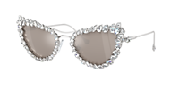 Swarovski SK7011 XL (56 - 20) with Silver lenses and Silver