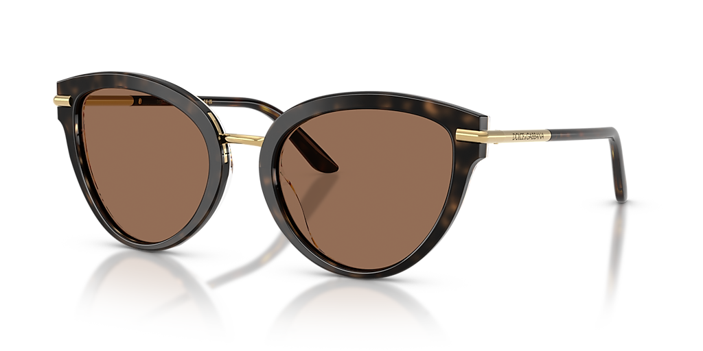 Dolce&Gabbana DG4492 XXL (55 - 21) with Brown lenses and Tortoise