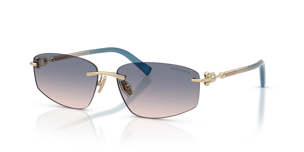 Tiffany & Co. TF3114 L (59 - 15) with Brown lenses and Gold frame