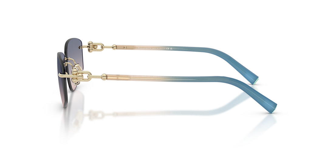 Tiffany & Co. TF3114 L (59 - 15) with Brown lenses and Gold frame