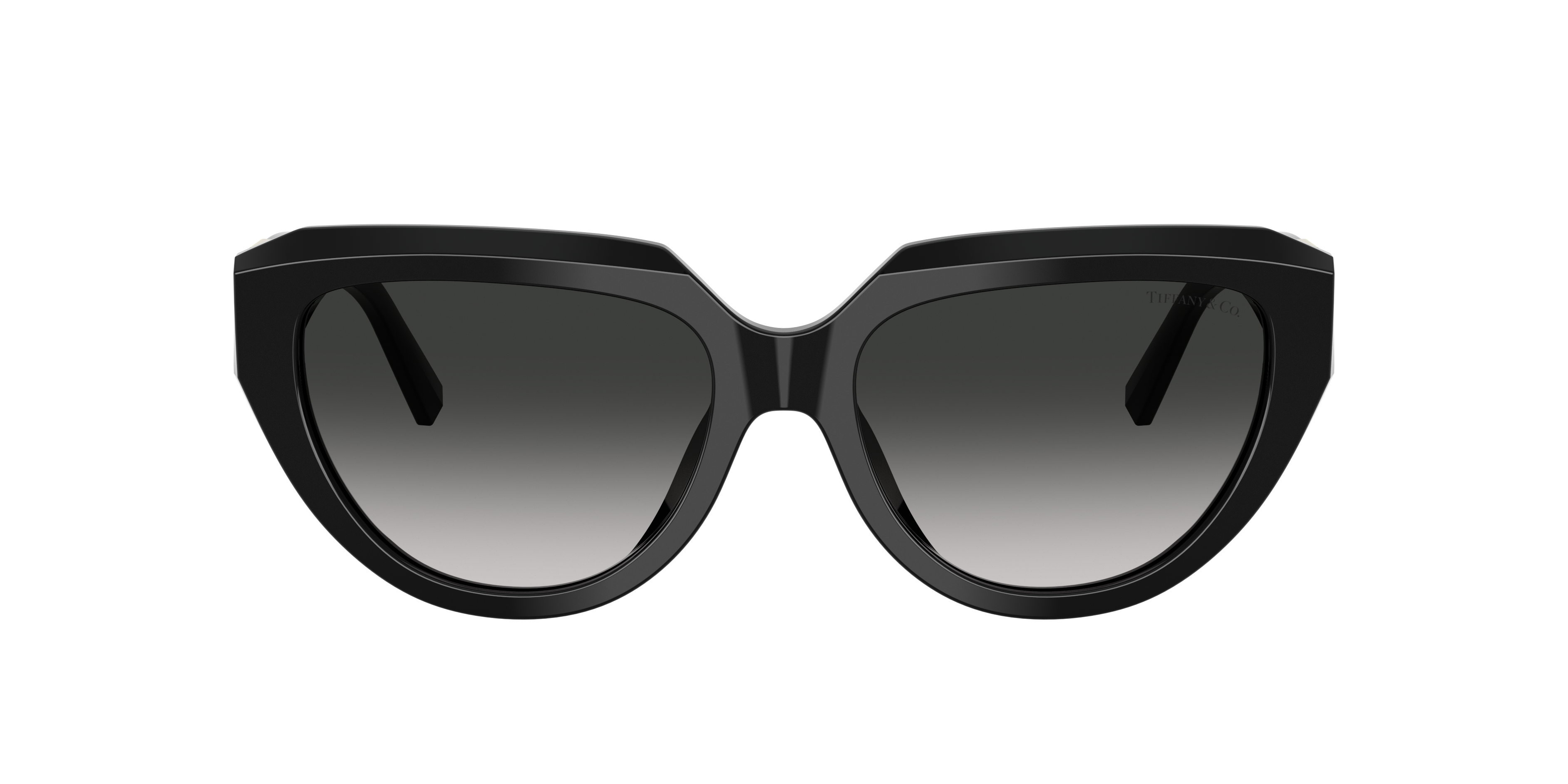 Tiffany & Co . Woman Sunglass Tf4238u In Black