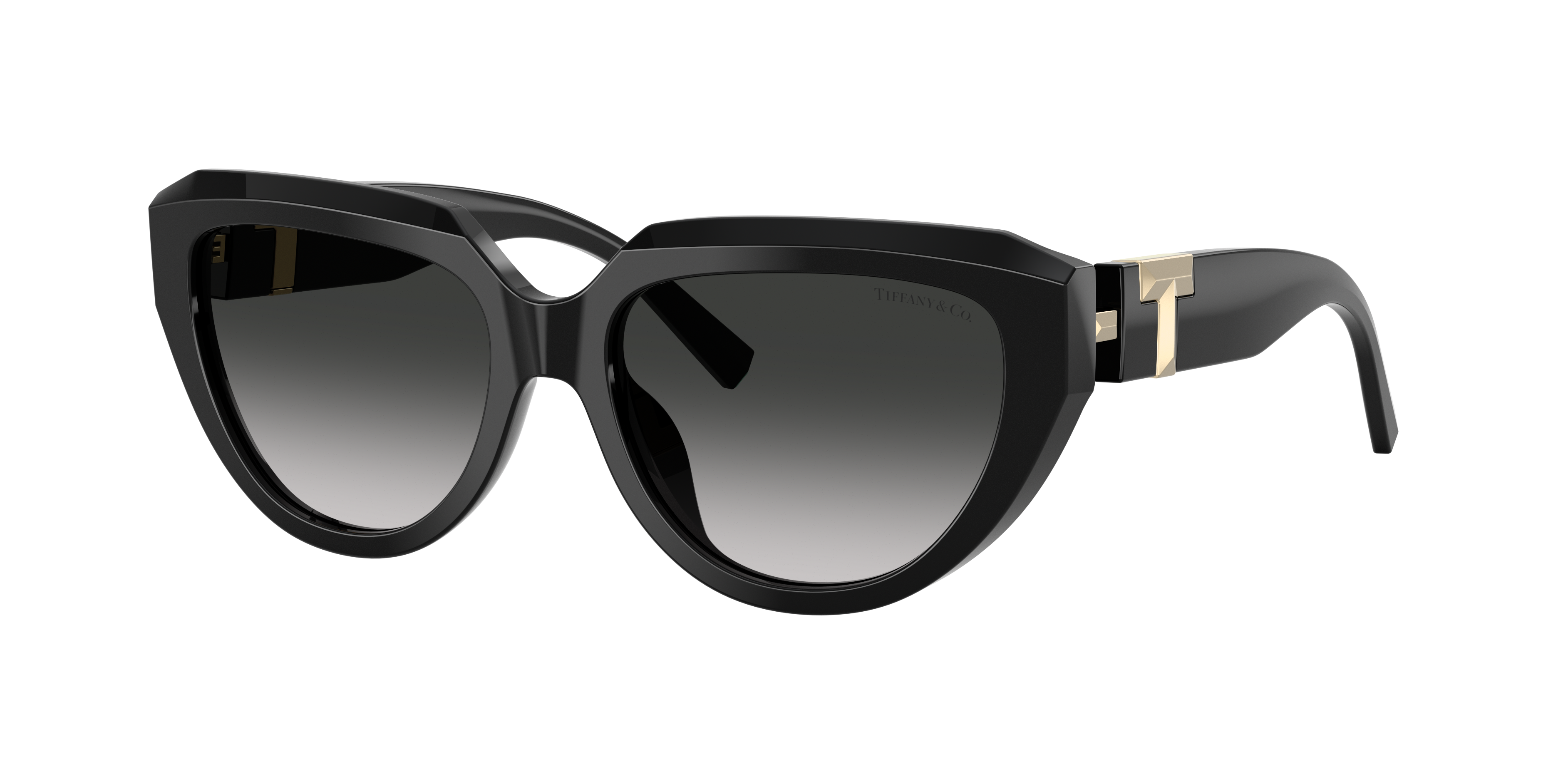 Tiffany & Co . Woman Sunglass Tf4238u In Black