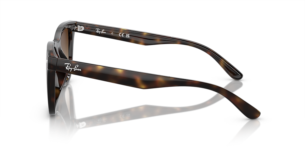 Ray-Ban サングラス ブラウン Ray-Ban RB4420 XL (65 - 18) with Brown lenses and Tortoise