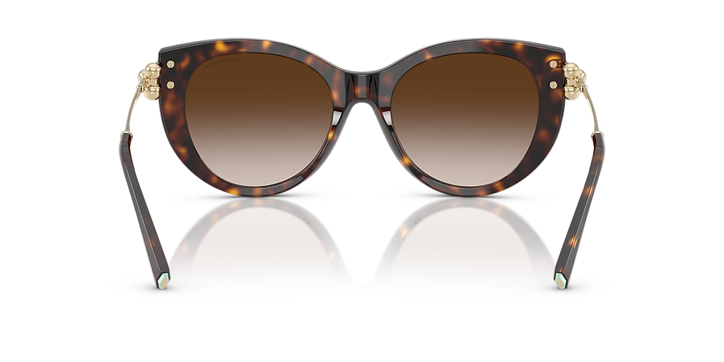 Tiffany & Co. TF4232 XXL (53 - 19) with Brown lenses and 