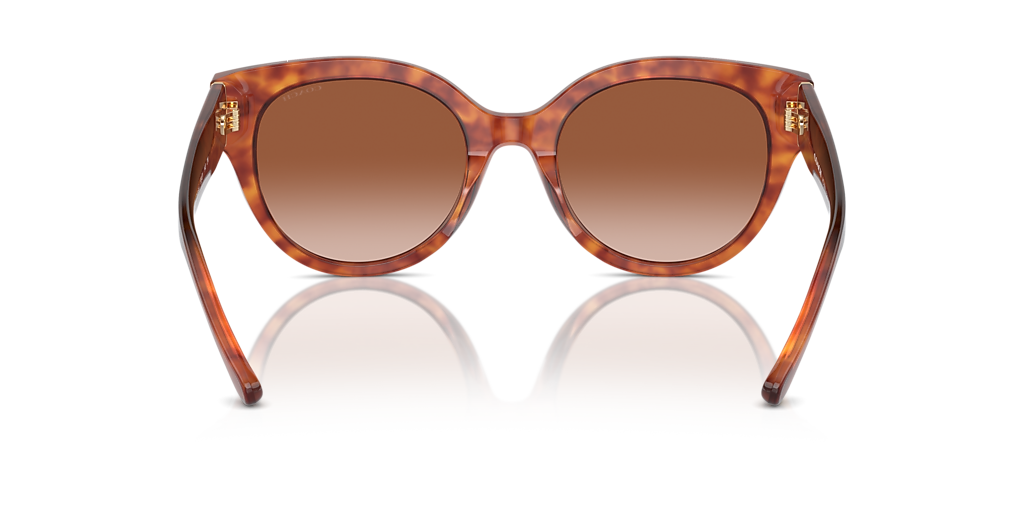 Coach HC8393U Sunglasses Coach HC8393U CR612 M (53 - 21) with Brown lenses and  main image 4