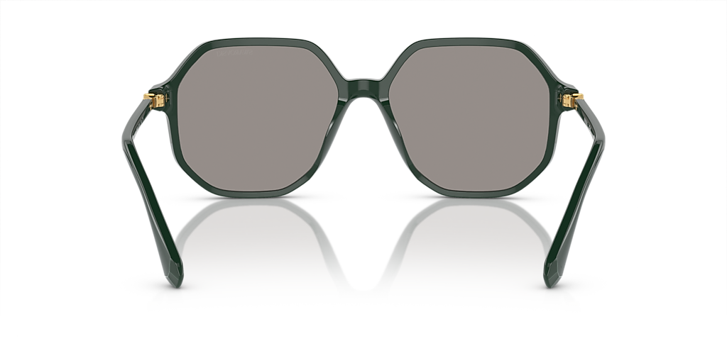 Swarovski SK6003 XL (57 - 16) com Lentes Cinza e Armação Verde