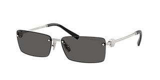 Tiffany & Co. TF3104D L (56 - 18) with Grey lenses and Gold