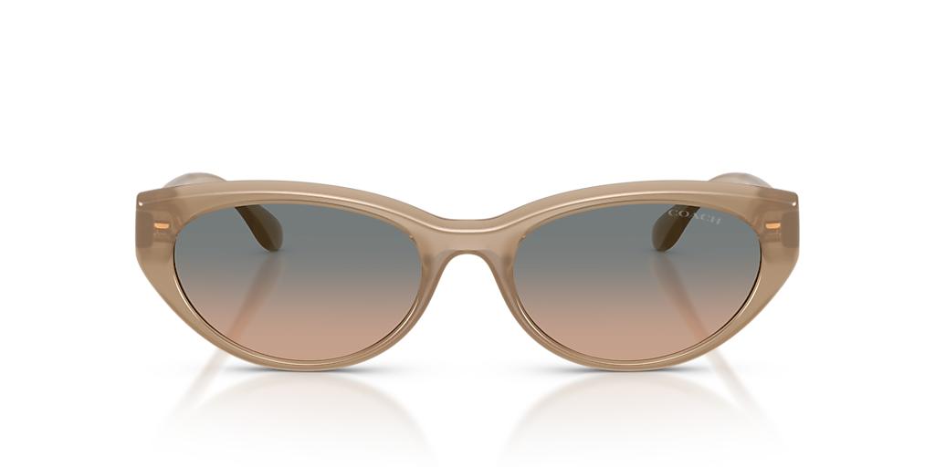 COACH Cat Eye Sunglasses in Translucent Gray with Brown Lenses Coach HC6139U - Cat Eye Transparent Gray Frame Eyeglasses  main image 4