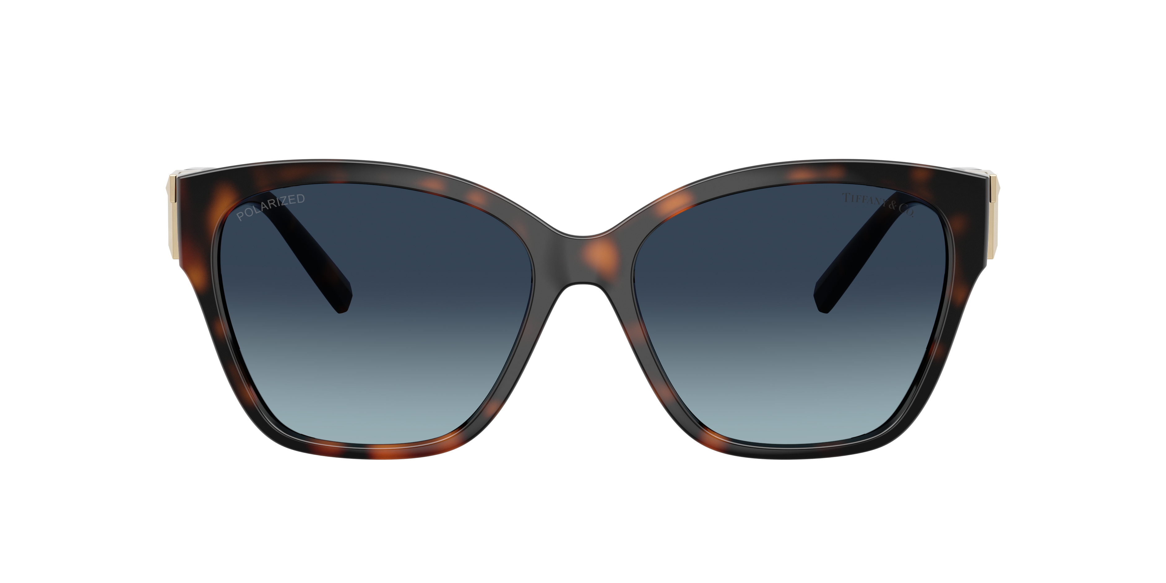 Tiffany & Co. TF4254U XL (56 - 16) with Blue lenses and Tortoise