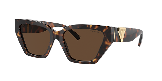 Tiffany & Co. TF4218 55 Dark Grey Polarized & Black Polarized  