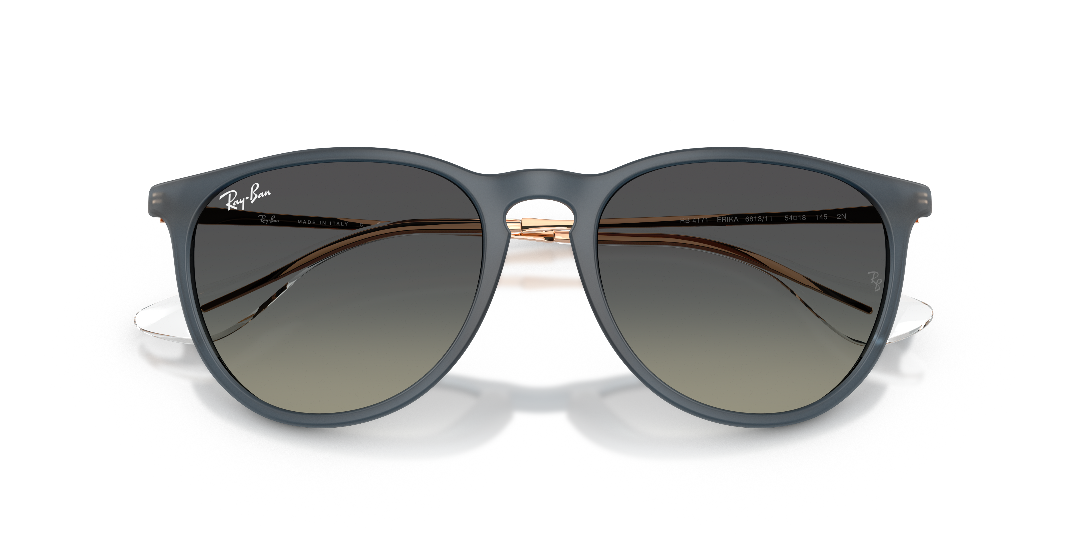 RB4171 Erika Classic