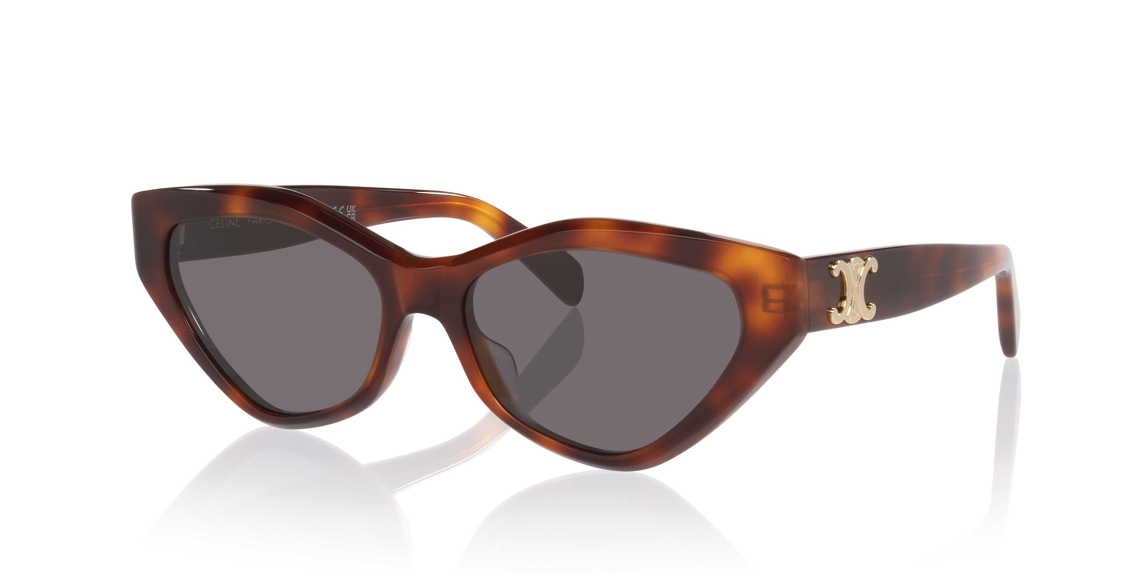 Celine Triomphe CL40323U