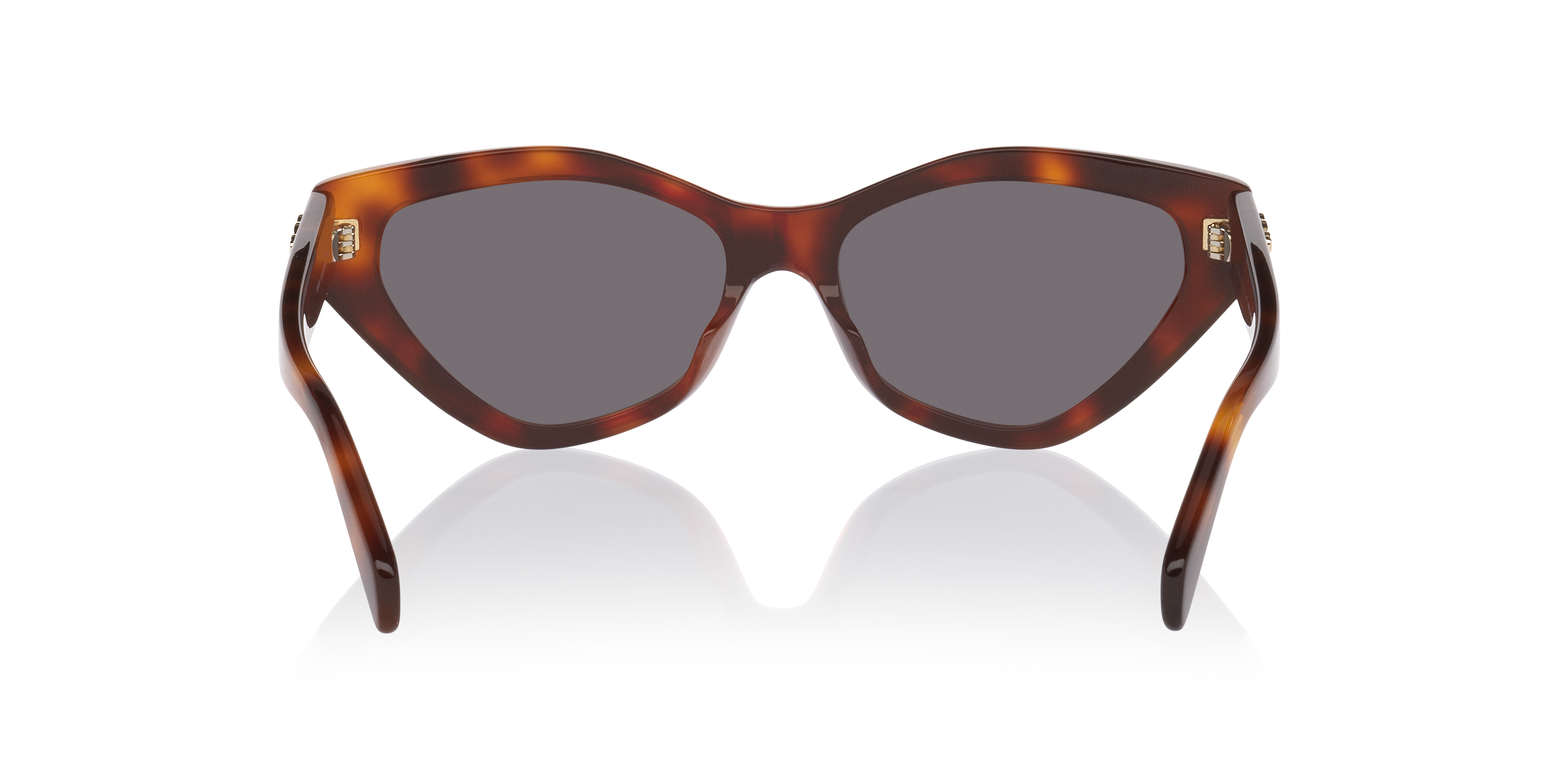 Celine Triomphe CL40323U